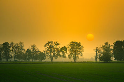 A summer sun rising in a very hazy morning with lots of dust particles in the air. misty sunrise. 