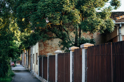 Street amidst trees and buildings
