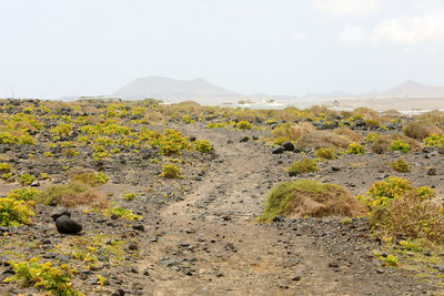 Caleta famara, lanzarote