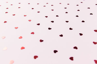 Full frame shot of pink petals on white background