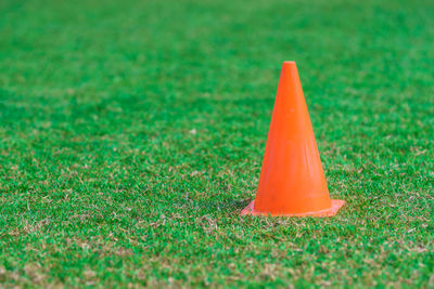 Close-up of grass on field