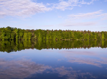 Reflection of trees in calm lake