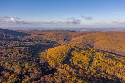 Autumn colours in mecsek hills from drone view