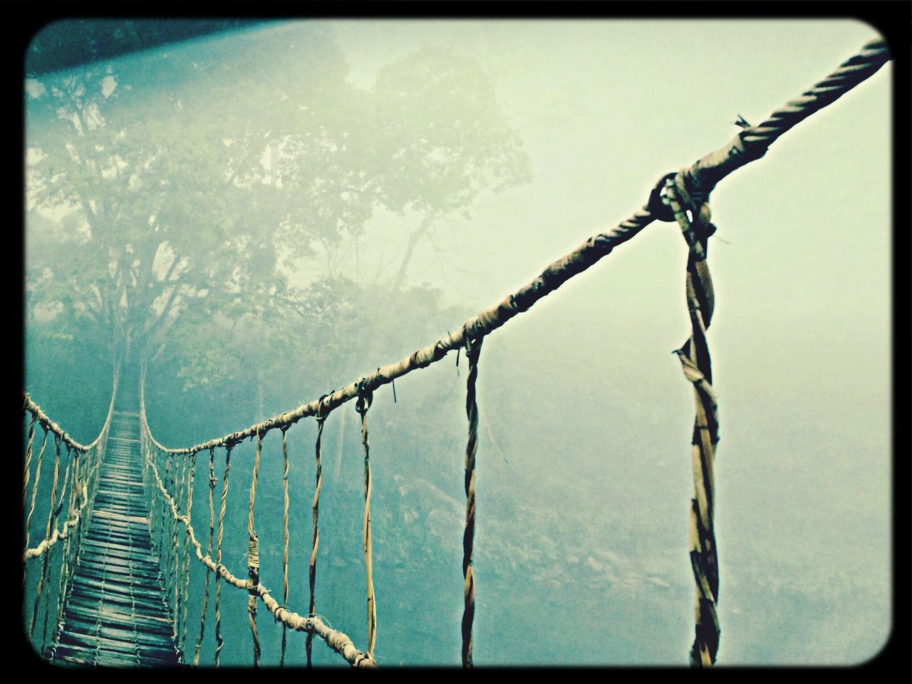 transfer print, auto post production filter, fence, protection, water, safety, metal, security, chainlink fence, barbed wire, nature, branch, sky, day, tranquility, outdoors, focus on foreground, no people, railing, close-up