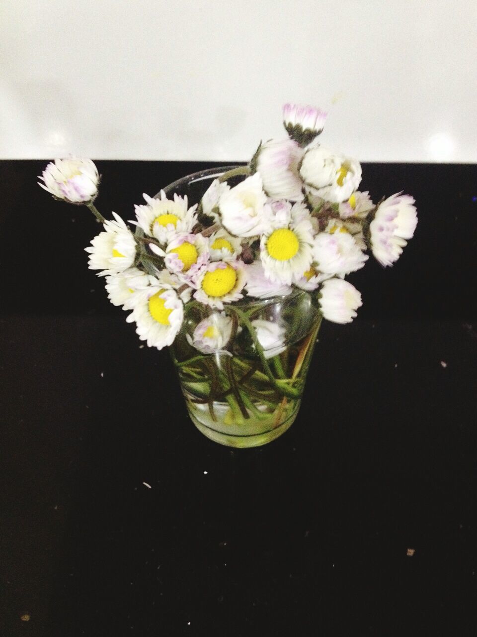 flower, freshness, vase, fragility, petal, indoors, flower head, table, beauty in nature, white color, close-up, flower arrangement, bunch of flowers, glass - material, nature, still life, decoration, home interior, water, studio shot