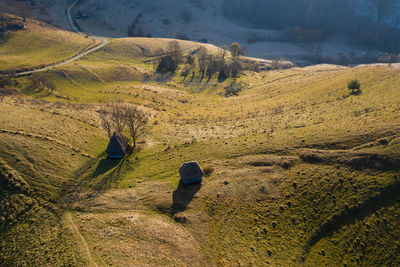 High angle view of trees on mountain