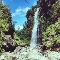 Low angle view of waterfall in forest