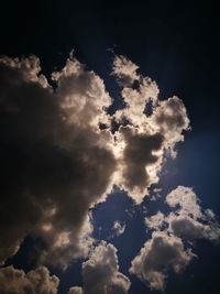 Low angle view of silhouette bird flying against sky