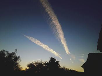 Low angle view of trees against sky