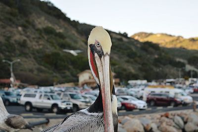 Close-up of tied on boat