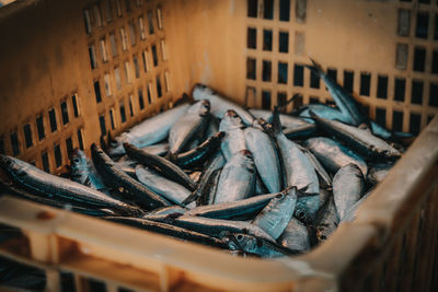 Fish for sale in market