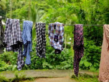 Clothes drying on clothesline