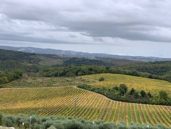 Scenic view of agricultural field against sky