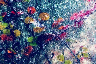 Full frame shot of multi colored water