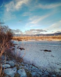 Scenic view of landscape against sky