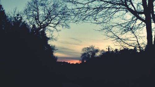 Silhouette of bare trees against sky at sunset