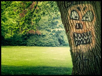 Trees on grassy field
