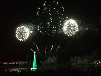 Low angle view of firework display at night