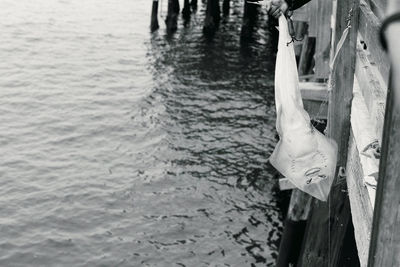 String caught at newport pier