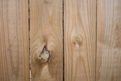 Full frame shot of wooden door