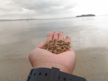 Close-up of hand holding crab at beach against sky