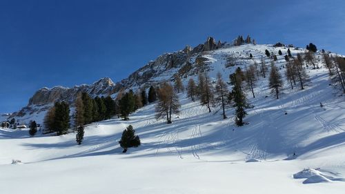 Scenic view of trees on snow covered mountains against sky