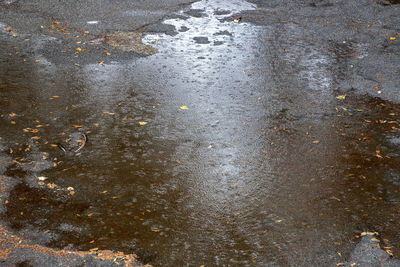 High angle view of wet road in rainy season