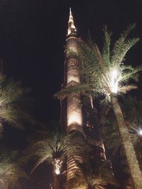 Low angle view of illuminated palm trees at night