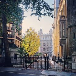 Buildings in city