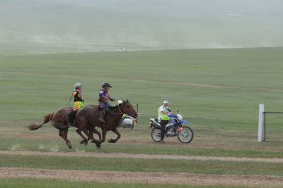 People riding horse cart on farm