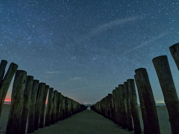 Low angle view of trees against sky at night