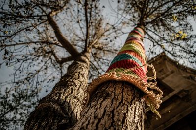 Low angle view of colorful fabric on tree trunk