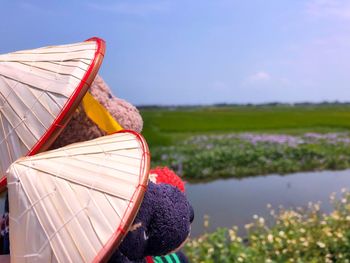 Teddy bears with asian style conical hats on land