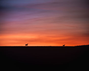 Silhouette people standing on field against orange sky