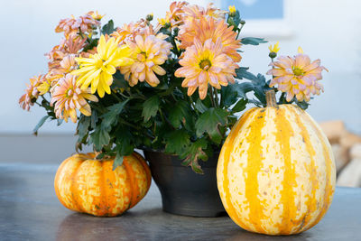 Close-up of orange flowers on table