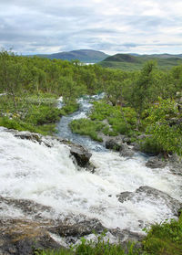 Scenic view of river amidst trees against sky