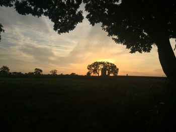 Silhouette trees on field against sky at sunset