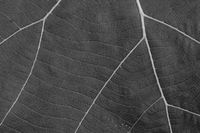 Full frame shot of abstract pattern