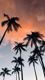 Low angle view of palm trees against sunset sky