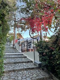 Tree by building during autumn