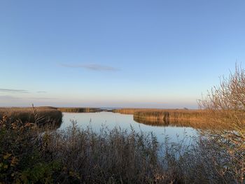 Scenic view of lake against blue sky