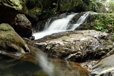 View of waterfall in forest