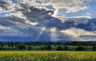 Scenic view of field against sky