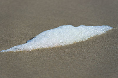 Close-up of snow on beach