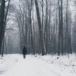 Bare trees on snow covered landscape