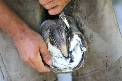 Midsection of man holding fish