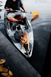 Man with dog sitting in car