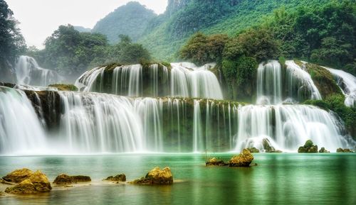 Scenic view of waterfall in forest