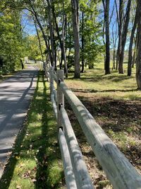 View of a road along trees