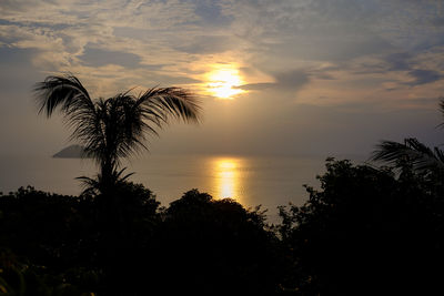 Silhouette palm tree against sea during sunset